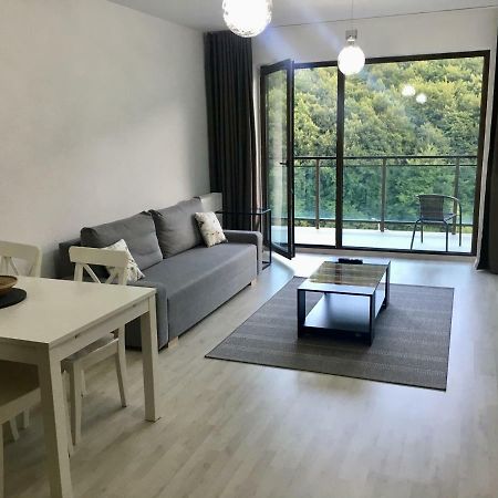 Nature View Apartment Брашов Экстерьер фото