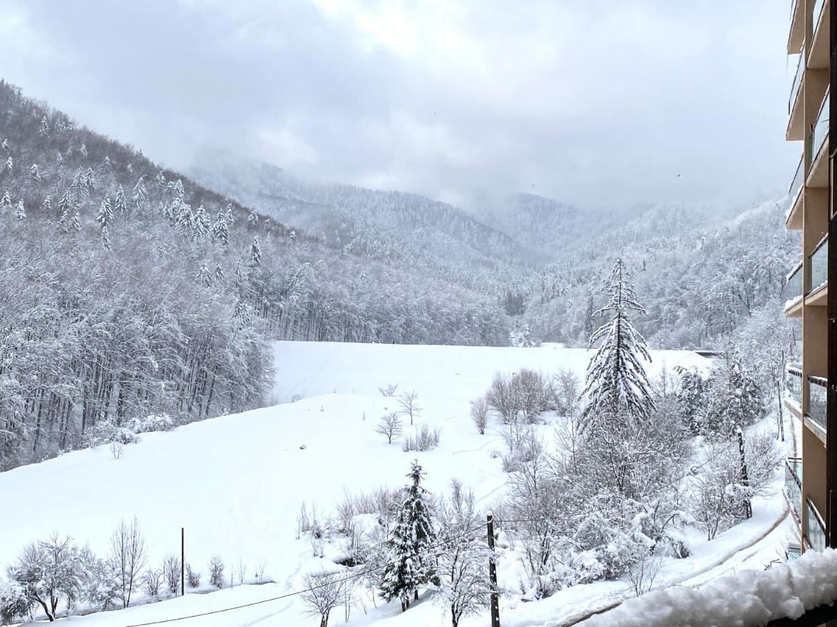 Nature View Apartment Брашов Экстерьер фото
