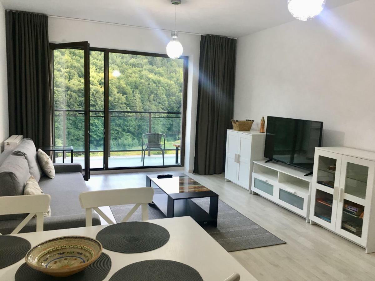 Nature View Apartment Брашов Экстерьер фото