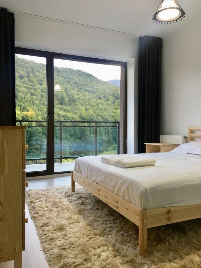 Nature View Apartment Брашов Экстерьер фото