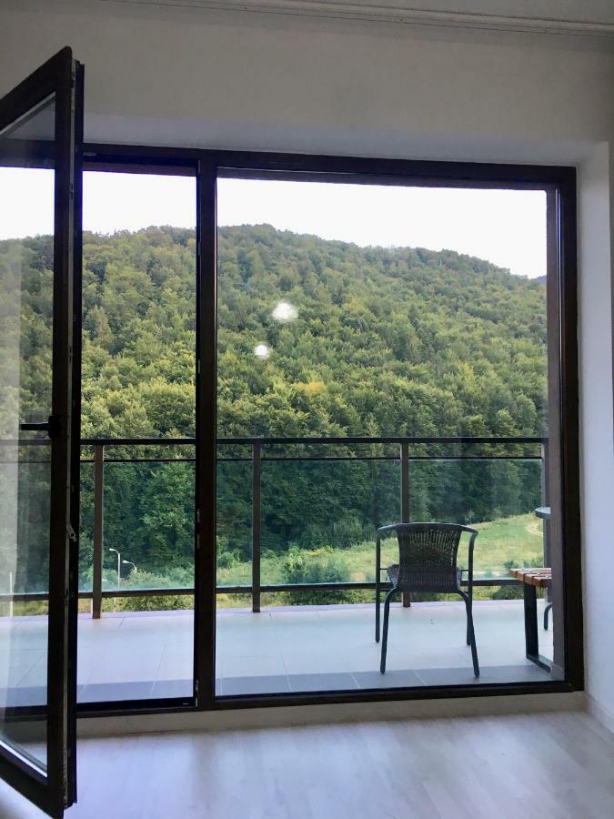 Nature View Apartment Брашов Экстерьер фото