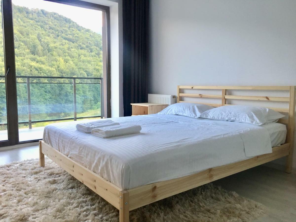 Nature View Apartment Брашов Экстерьер фото
