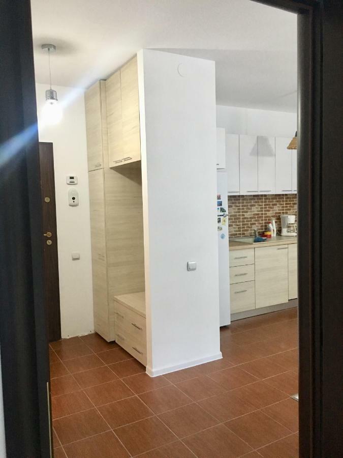 Nature View Apartment Брашов Экстерьер фото